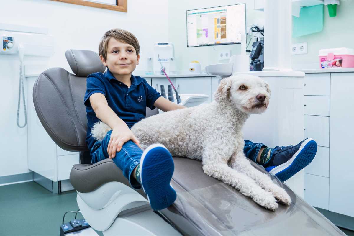 Ventajas de la terapia asistida con perros en visitas al dentista - CENTRO MIGUEL GONZÁLEZ